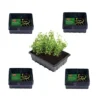 40 Small Seed Trays Half Size Plastic Seeding Starter Tray Reusable 21.5 X 17cm