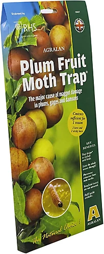 Agralan Plum Moth Trap Pack Of 1