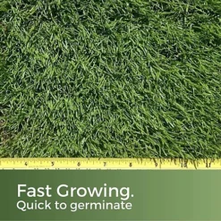 American Dark Green Grass Seed 20kg (280-800m²) 6 American Dark Green Grass Seed 20kg (280-800m²) -Outsunny Garden Zone american dark green grass seed 20kg 280 800m 5065007977026 03c MP