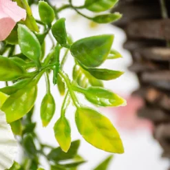 Artificial Petunia Flowers Rattan Hanging Basket Decoration Pink Purple & White 25cm -Outsunny Garden Zone artificial petunia flowers rattan hanging basket decoration pink purple white 25cm5055837297425 06c MP