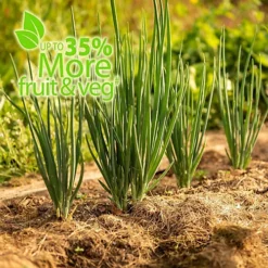 Baby Bio Outdoor Fruit And Vegetable Feed Concentrate 2 X 750 Ml -Outsunny Garden Zone baby bio outdoor fruit and vegetable feed concentrate 2 x 750 ml5059331216616 04c MP