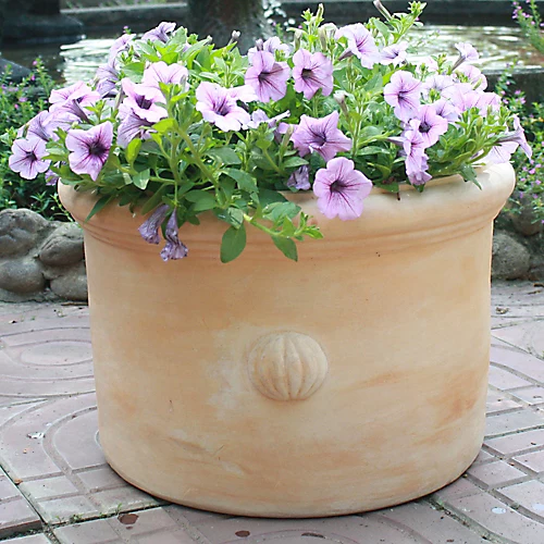 Blooma Mali White Washed Terracotta Circular Plant Pot (Dia)40cm 2 Blooma Mali White Washed Terracotta Circular Plant Pot (Dia)40cm - Image 2