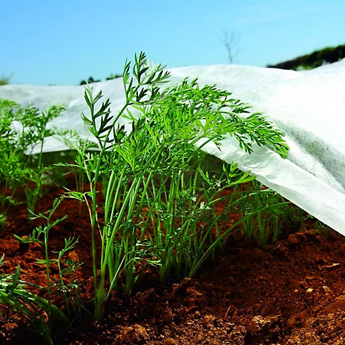 Bradas 1.6m X 5m Nonwoven Crop Cover Plant Frost Protection Fabric Insect Netting 1 Bradas 1.6m X 5m Nonwoven Crop Cover Plant Frost Protection Fabric Insect Netting