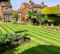 BS Bowling Green Grass Seed (1 X 10kg) -Outsunny Garden Zone bs bowling green grass seed 1 x 10kg 00003557 03c MP