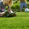 BS Childs Play Lawn Seed (1 X 10kg)