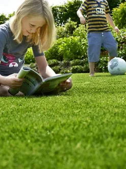 BS Childs Play Lawn Seed (1 X 2kg)