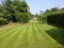 BS Childs Play Lawn Seed (5 X 20kg) -Outsunny Garden Zone bs childs play lawn seed 5 x 20kg 00004059 04c MP