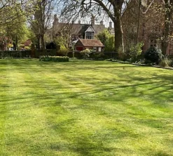 BS Economy Grass Seed (5 X 20kg) -Outsunny Garden Zone bs economy grass seed 5 x 20kg 00004055 03c MP