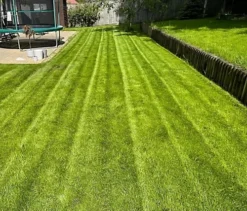 BS Economy Grass Seed (5 X 20kg) -Outsunny Garden Zone bs economy grass seed 5 x 20kg 00004055 06c MP