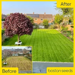 BS Premier Lawn Grass Seed (1 X 10kg) -Outsunny Garden Zone bs premier lawn grass seed 1 x 10kg 24042313 06c MP