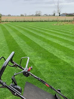 BS Premier Lawn Grass Seed (25 X 20kg)