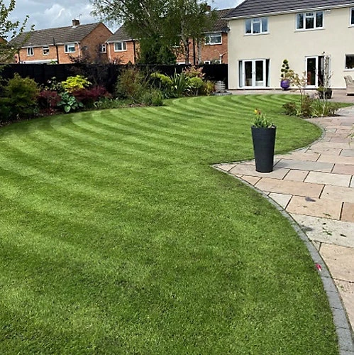 BS Quality Fine Lawn Seed (1 X 10kg) 4 BS Quality Fine Lawn Seed (1 X 10kg) - Image 4