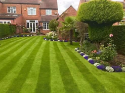 BS Quality Fine Lawn Seed (1 X 2kg)