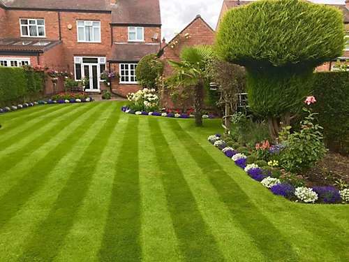 BS Quality Fine Lawn Seed (1 X 2kg) 1 BS Quality Fine Lawn Seed (1 X 2kg)