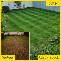 BS Quality Hard Wearing Lawn Seed (1 X 20kg) -Outsunny Garden Zone bs quality hard wearing lawn seed 1 x 20kg 00003523 03c MP