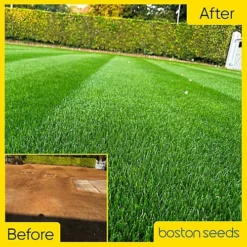 BS Quality Hard Wearing Lawn Seed (1 X 2kg) -Outsunny Garden Zone bs quality hard wearing lawn seed 1 x 2kg 00004654 04c MP