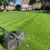 BS Quality Hard Wearing Lawn Seed (1 X 5kg)