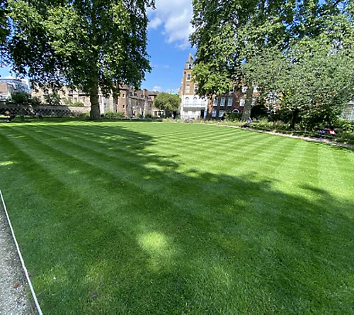 BS Quality Hard Wearing Lawn Seed (5 X 20kg) 3 BS Quality Hard Wearing Lawn Seed (5 X 20kg) - Image 3