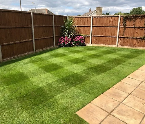 BS Renovator - Lawn Repair Grass Seed (1 X 10kg) 1 BS Renovator - Lawn Repair Grass Seed (1 X 10kg)