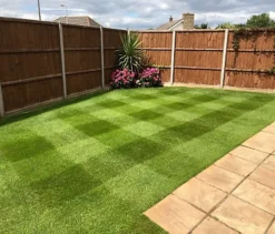 BS Renovator - Lawn Repair Grass Seed (1 X 2kg)