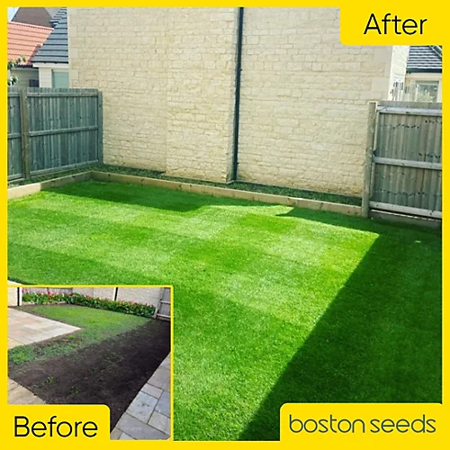 BS Renovator - Lawn Repair Grass Seed (25 X 20kg) 3 BS Renovator - Lawn Repair Grass Seed (25 X 20kg) - Image 3