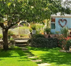 BS Shady Place Grass Seed (1 X 10kg) -Outsunny Garden Zone bs shady place grass seed 1 x 10kg 00003545 03c MP