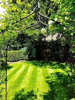 BS Shady Place Grass Seed (1 X 20kg)