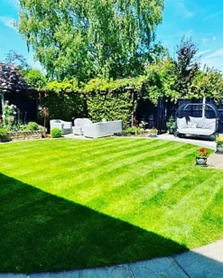 BS Shady Place Grass Seed (1 X 20kg) -Outsunny Garden Zone bs shady place grass seed 1 x 20kg 00003546 06c MP