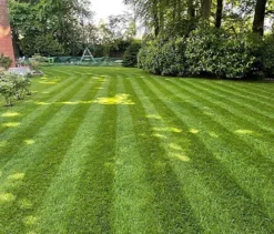 BS Shady Place Grass Seed (1 X 5kg)