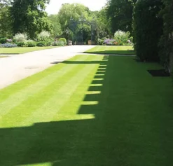 BS Slow Grow And Wildflower Companion Grass Seed (1 X 10kg) 6 BS Slow Grow And Wildflower Companion Grass Seed (1 X 10kg) -Outsunny Garden Zone bs slow grow and wildflower companion grass seed 1 x 10kg 00003550 03c MP