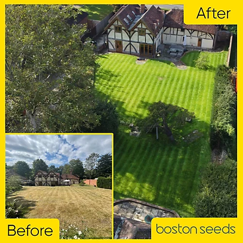 BS Slow Grow And Wildflower Companion Grass Seed (1 X 20kg) 2 BS Slow Grow And Wildflower Companion Grass Seed (1 X 20kg) - Image 2