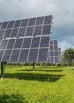 BS Slow Grow And Wildflower Companion Grass Seed (1 X 5kg) 7 BS Slow Grow And Wildflower Companion Grass Seed (1 X 5kg) -Outsunny Garden Zone bs slow grow and wildflower companion grass seed 1 x 5kg 00003551 04c MP