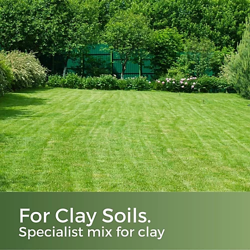 Clay King Grass Seed For Clay Soil 20kg (280-800m²) 2 Clay King Grass Seed For Clay Soil 20kg (280-800m²) - Image 2