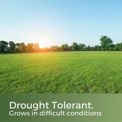 Clay King Grass Seed For Clay Soil 20kg (280-800m²) 6 Clay King Grass Seed For Clay Soil 20kg (280-800m²) -Outsunny Garden Zone clay king grass seed for clay soil 20kg 280 800m 5065007977279 03c MP