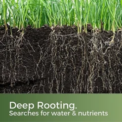 Clay King Grass Seed For Clay Soil 5kg (70-200m²) -Outsunny Garden Zone clay king grass seed for clay soil 5kg 70 200m 5065007977255 04c MP