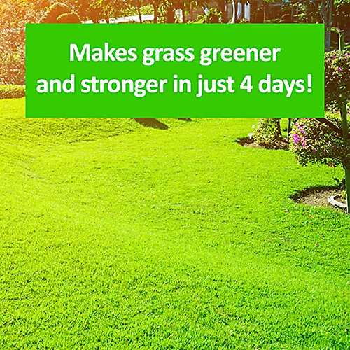 Cleenly Grass Greening Granules Lawn Fertiliser - Superfood To Make Grass Greener, Stronger & Healthier 2.5kg 4 Cleenly Grass Greening Granules Lawn Fertiliser - Superfood To Make Grass Greener, Stronger & Healthier 2.5kg - Image 4