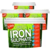 Cleenly Iron Sulphate For Lawns 10kg Pure Lawn Tonic Ferrous Sulphate Of Iron Lawn Greener And Turf Hardener