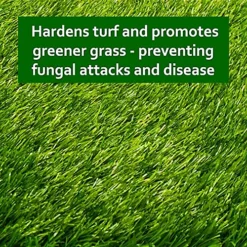 Cleenly Iron Sulphate Lawn Tonic Liquid - Transforms Lawns, Hardens Turf And Greens Grass 15L -Outsunny Garden Zone cleenly iron sulphate lawn tonic liquid transforms lawns hardens turf and greens grass 15l5056411326968 03c MP