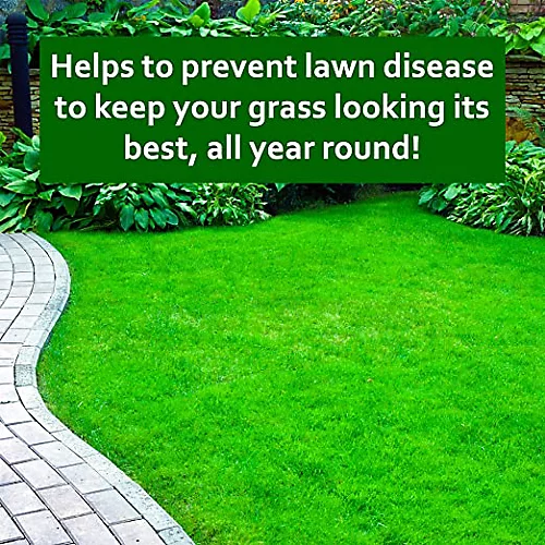 Cleenly Iron Sulphate Lawn Tonic Liquid - Transforms Lawns, Hardens Turf And Greens Grass 20L 2 Cleenly Iron Sulphate Lawn Tonic Liquid - Transforms Lawns, Hardens Turf And Greens Grass 20L - Image 2