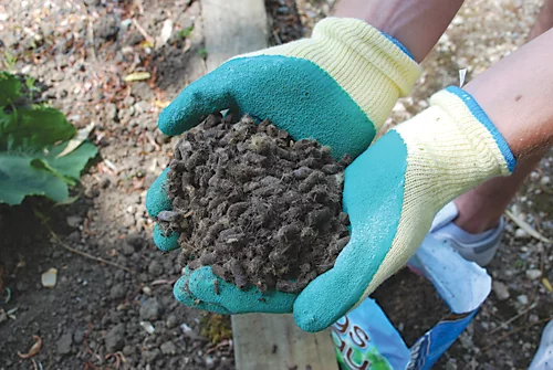 Defenders Slugs Away Wool Pellets 5L Natural, Poison Free Slug Deterrent 2 Defenders Slugs Away Wool Pellets 5L Natural, Poison Free Slug Deterrent - Image 2