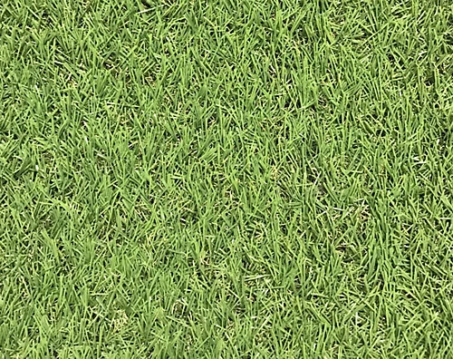 Dennis Medium Density Artificial Grass (L)4m (W)1m (T)22mm 1 Dennis Medium Density Artificial Grass (L)4m (W)1m (T)22mm