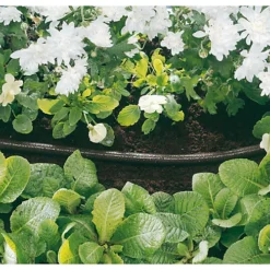 Draper Perforated Soaker Hose, 12mm Bore, 15m, Black 68261 -Outsunny Garden Zone draper perforated soaker hose 12mm bore 15m black 682615010559682614 04c MP