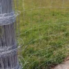 Easipet Galvanised Stock Fencing L8/80/15 For Sheep/Pig/Livestock 80cm High, 50m Long