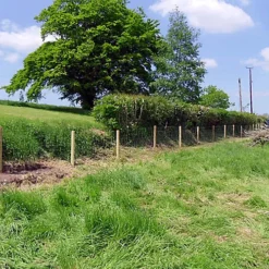 Easipet Galvanised Stock Fencing L8/80/15 For Sheep/Pig/Livestock 80cm High, 50m Long 6 Easipet Galvanised Stock Fencing L8/80/15 For Sheep/Pig/Livestock 80cm High, 50m Long -Outsunny Garden Zone easipet galvanised stock fencing l8 80 15 for sheep pig livestock 80cm high 50m long5060477742310 03c MP