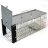 Easipet Humane Animal Trap For Vermine Rat/Squirrel Heavy Duty Metal Catcher