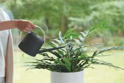 Elho B.for Soft Recycled Plastic 1.7L Watering Can In Anthracite -Outsunny Garden Zone elho b for soft recycled plastic 1 7l watering can in anthracite8711904335229 04c MP