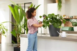 Elho Brussels Recycled Plastic Watering Can 1.8L In White 6 Elho Brussels Recycled Plastic Watering Can 1.8L In White -Outsunny Garden Zone elho brussels recycled plastic watering can 1 8l in white8711904303389 03c MP