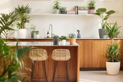 Elho Brussels Round 22cm Plastic Plant Pot In Anthracite -Outsunny Garden Zone elho brussels round 22cm plastic plant pot in anthracite8711904071622 06c MP