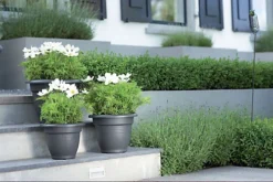 Elho Green Basics Campana 50cm Plastic Plant Pot In Living Black -Outsunny Garden Zone elho green basics campana 50cm plastic plant pot in living black8711904131876 04c MP