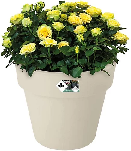 Elho Green Basics Top Planter 40cm Plastic Plant Pot In Cotton White 3 Elho Green Basics Top Planter 40cm Plastic Plant Pot In Cotton White - Image 3